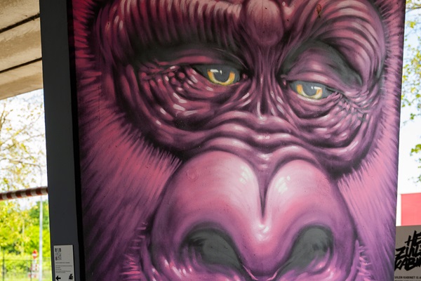 Wandgemälde eines lila Gorillas im Säulen Kabinett in Weert